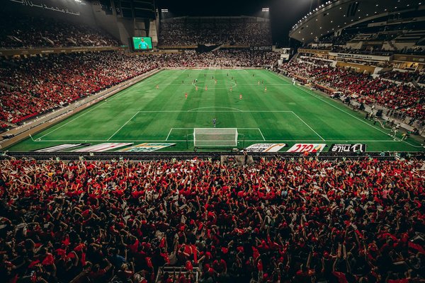 Le rameur, allié clé du renforcement musculaire